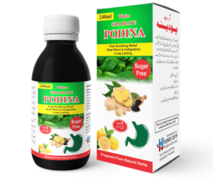 Sharbat Podina – Natural Relief for Digestive Discomfort